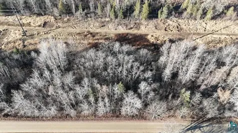 Parcel A Parameter Road Deer River MN 56636