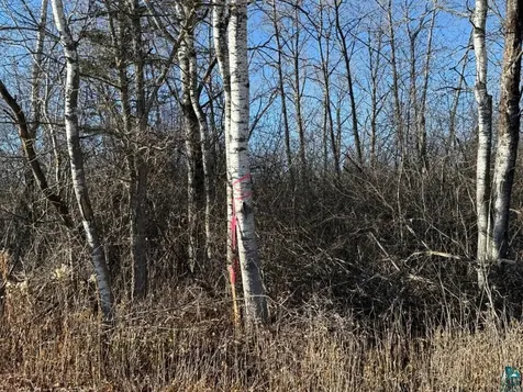 Parcel A Parameter Road Deer River MN 56636
