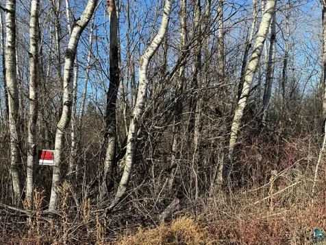 Parcel A Parameter Road Deer River MN 56636