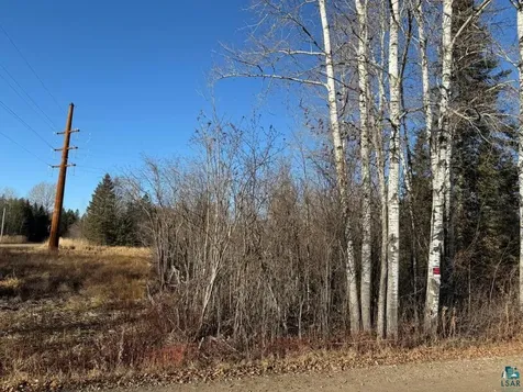 Parcel C Parameter Road Deer River MN 56636