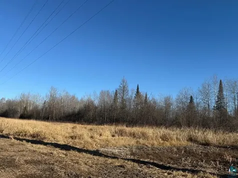 Parcel C Parameter Road Deer River MN 56636