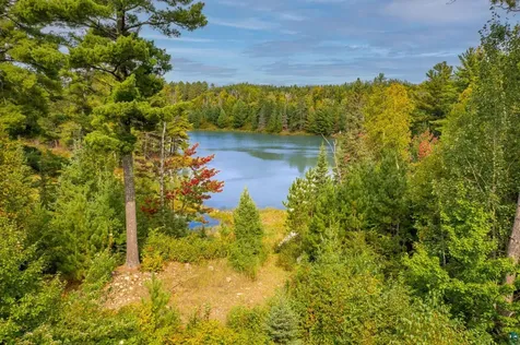 8644 Pulkinen Road Embarrass MN 55732