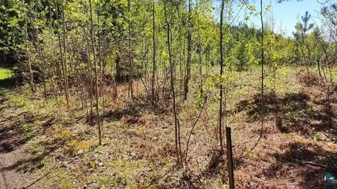 80012 Conifer Crest Tower MN 55790