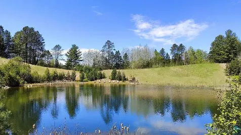 80012 Conifer Crest Tower MN 55790