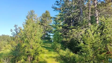80012 Conifer Crest Tower MN 55790