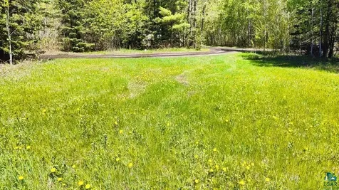 80012 Conifer Crest Tower MN 55790