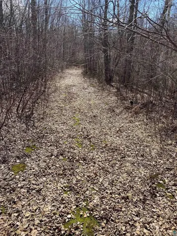 3743 Skog Road Kettle River MN 55757