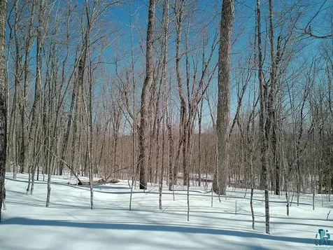 33 Hillside Drive Lutsen MN 55612