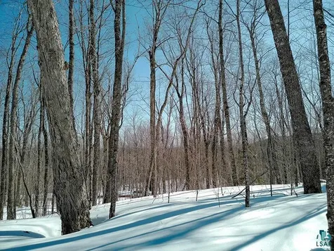 33 Hillside Drive Lutsen MN 55612