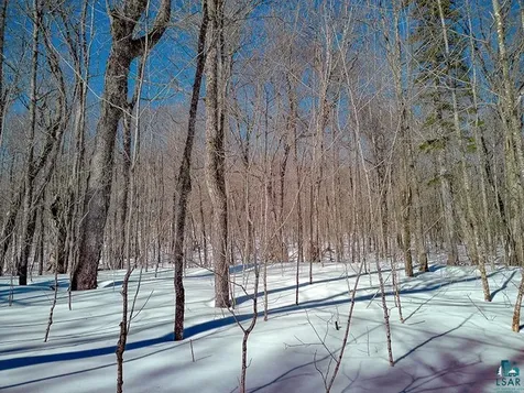 33 Hillside Drive Lutsen MN 55612