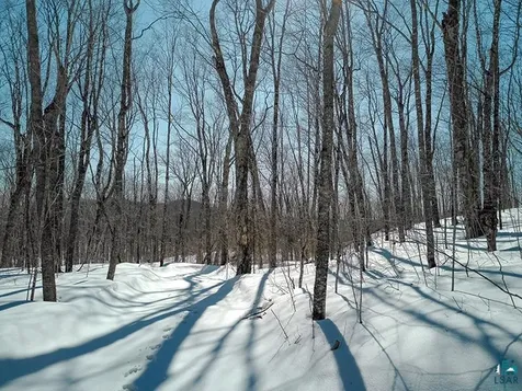 33 Hillside Drive Lutsen MN 55612