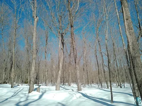 33 Hillside Drive Lutsen MN 55612