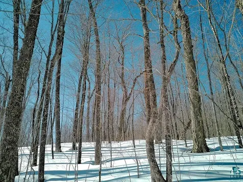 33 Hillside Drive Lutsen MN 55612
