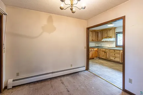 438 Buck View Road Ely MN 55731