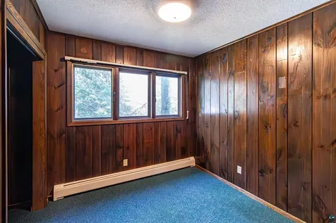 438 Buck View Road Ely MN 55731