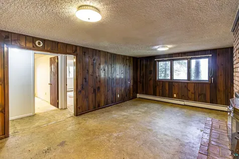 438 Buck View Road Ely MN 55731