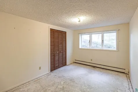438 Buck View Road Ely MN 55731