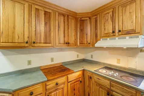 438 Buck View Road Ely MN 55731