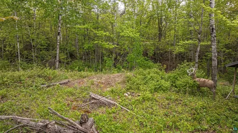 2148 Haapala Road Ely MN 55731