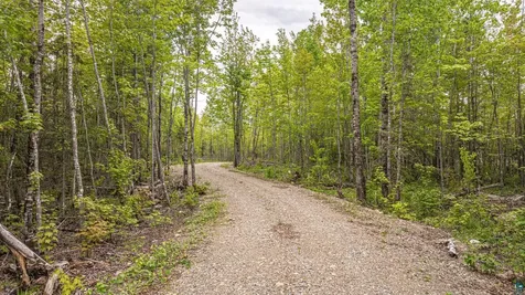 2148 Haapala Road Ely MN 55731