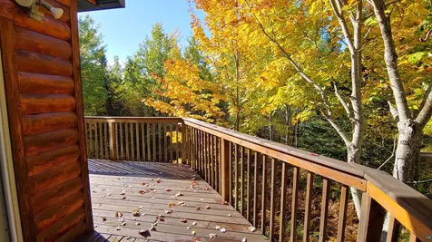 11521 Aspen Way Orr MN 55771