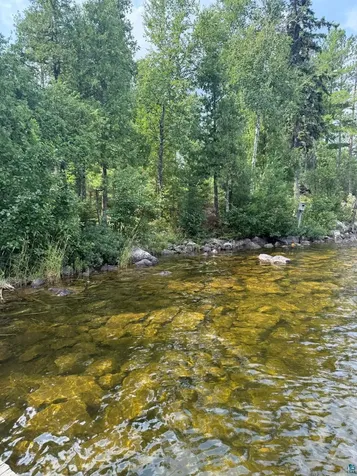 3003 Burntside Ridge Road Ely MN 55731