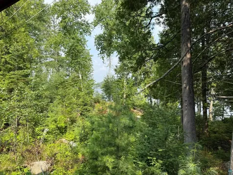 3003 Burntside Ridge Road Ely MN 55731