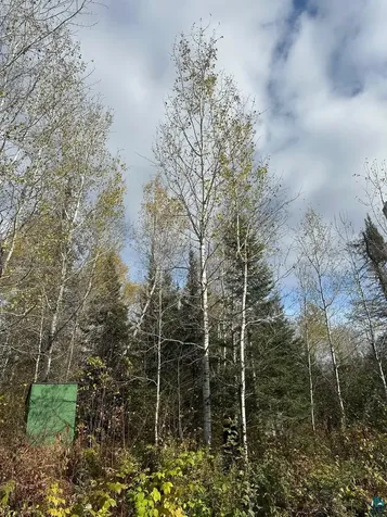 7064 Cramer Road Finland MN 55603