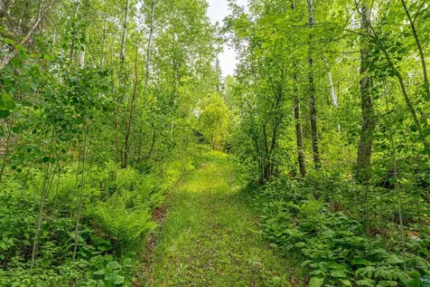 2445 Reed Road Ely MN 55731