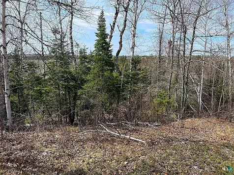 1480 Maijala Road Ely MN 55731