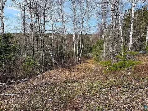 1480 Maijala Road Ely MN 55731