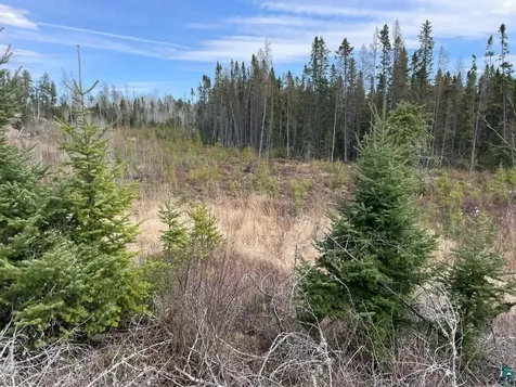 1480 Maijala Road Ely MN 55731