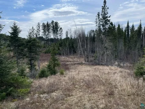 1480 Maijala Road Ely MN 55731
