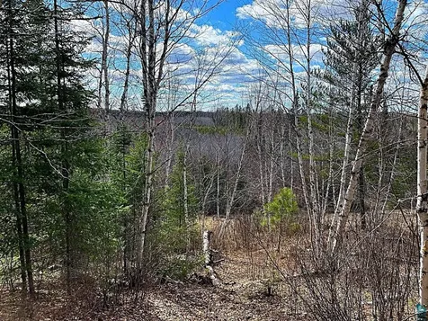1480 Maijala Road Ely MN 55731