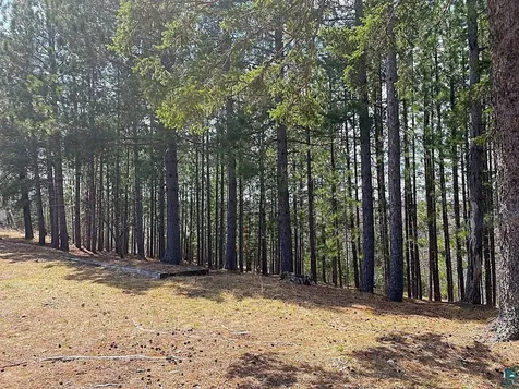 1480 Maijala Road Ely MN 55731