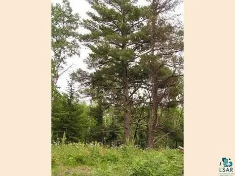 1687 Golden Ridge Trail Ely MN 55731