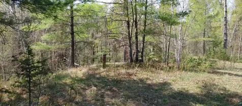 1687 Golden Ridge Trail Ely MN 55731