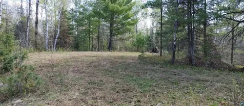1687 Golden Ridge Trail Ely MN 55731