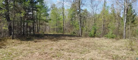 1687 Golden Ridge Trail Ely MN 55731