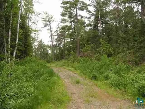 1687 Golden Ridge Trail Ely MN 55731