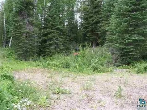 1687 Golden Ridge Trail Ely MN 55731