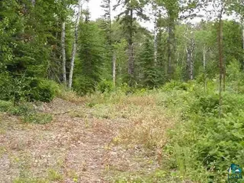 1687 Golden Ridge Trail Ely MN 55731