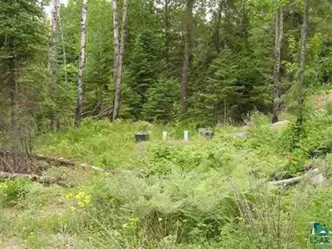1687 Golden Ridge Trail Ely MN 55731