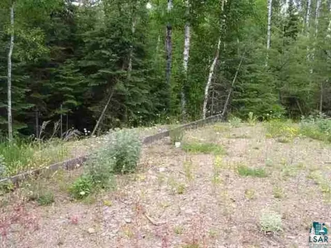 1687 Golden Ridge Trail Ely MN 55731