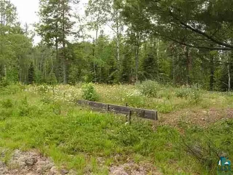 1687 Golden Ridge Trail Ely MN 55731