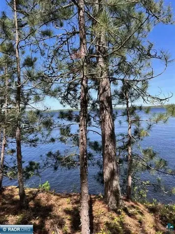 5441 N Ely Island Tower MN 55790