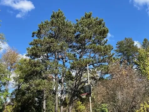 4789 Differding Point Road Eveleth MN 55734