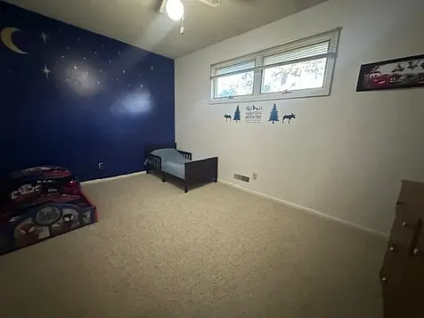 35 Garden Creek Babbitt MN 55706-0000