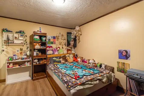 1247 Wolf Den Drive Ely MN 55731