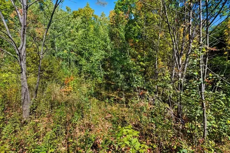 85XXX Apple Hill Road Bayfield WI 54814